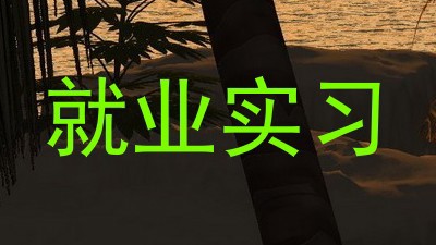 就业实习