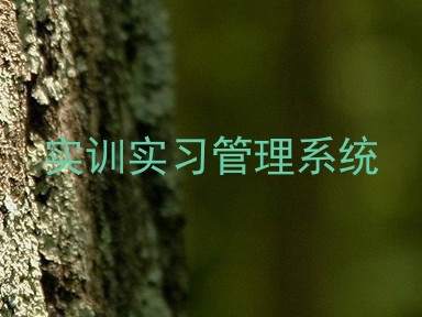 实训实习管理系统