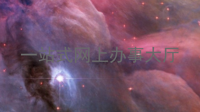 一站式网上办事大厅