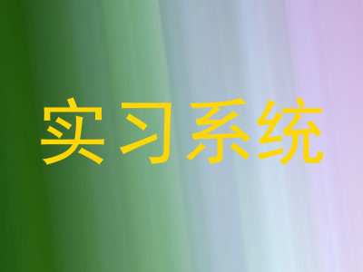 实习系统