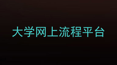 大学网上流程平台