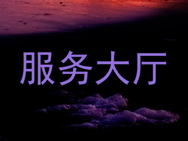 服务大厅