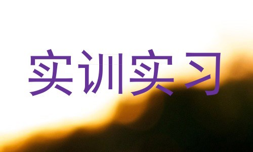 实训实习