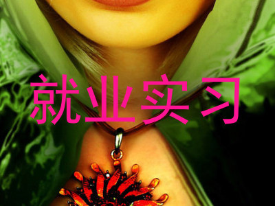 就业实习