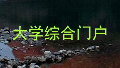 大学综合门户