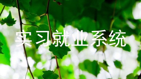 实习就业系统