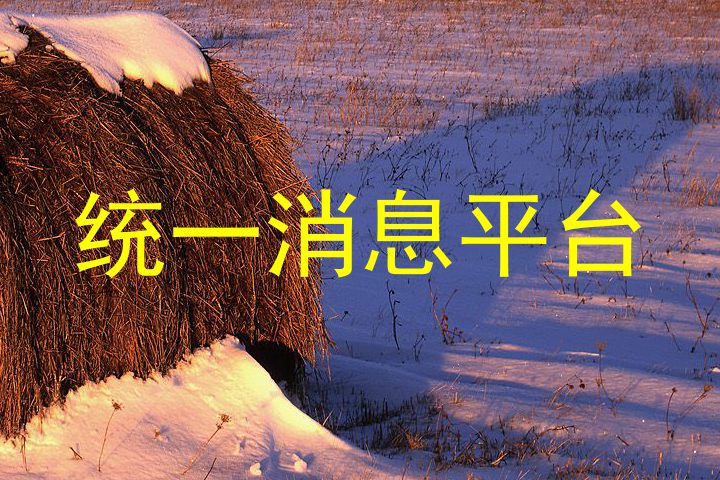 统一消息平台