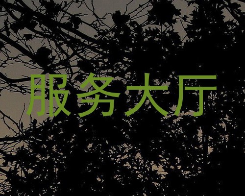 服务大厅