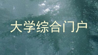 大学综合门户