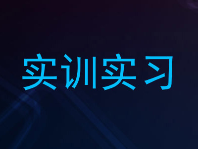 实训实习