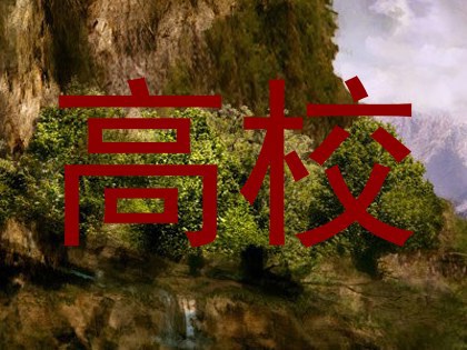 高校