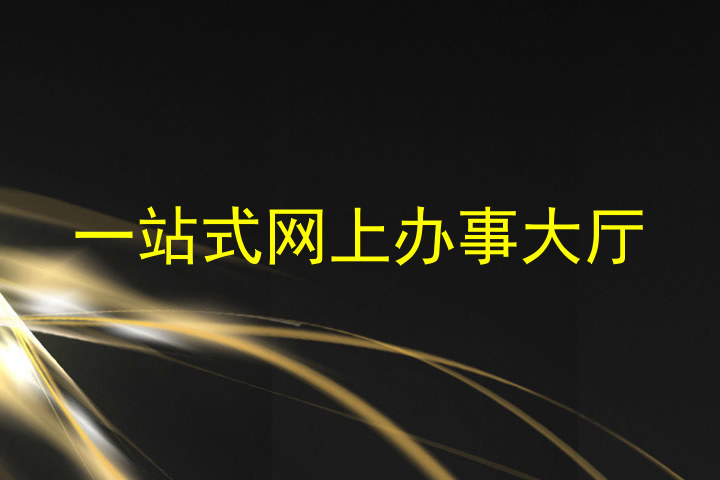 一站式网上办事大厅
