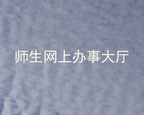 师生网上办事大厅