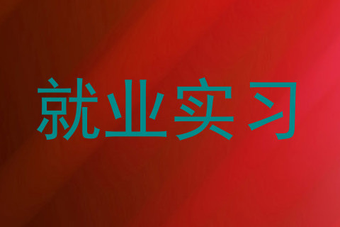 就业实习
