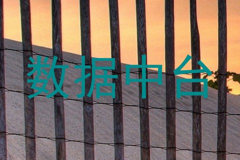 数据中台
