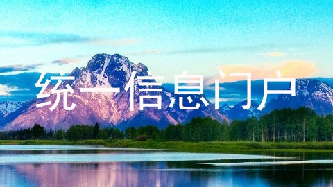 统一信息门户