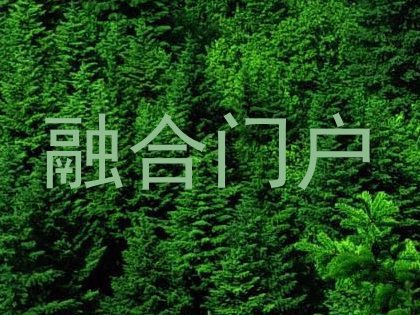 融合门户