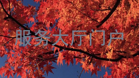 服务大厅门户