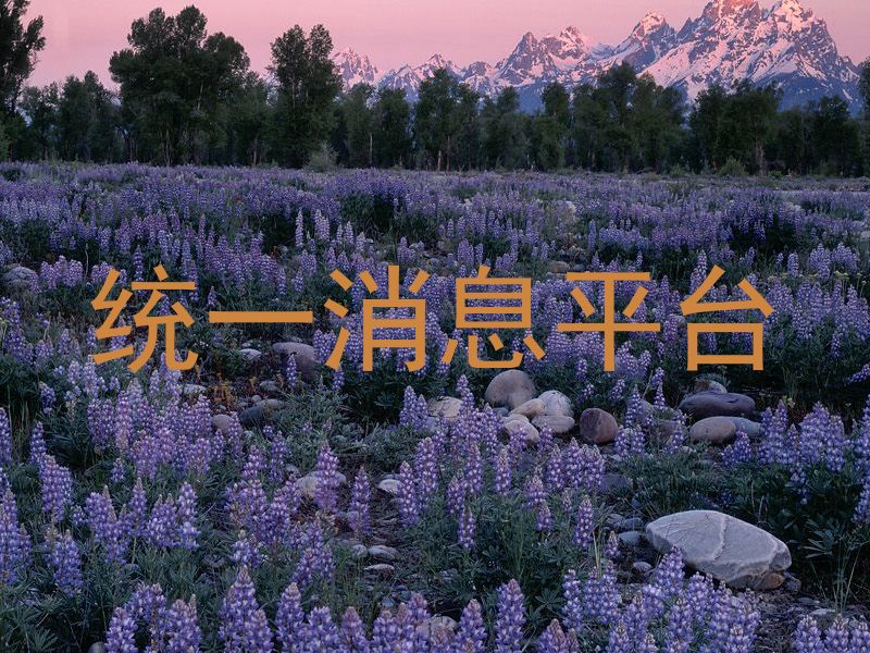 统一消息平台