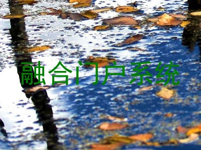 融合门户系统
