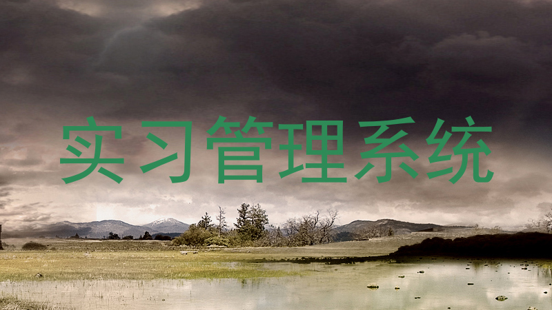 实习管理系统
