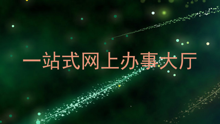 一站式网上办事大厅
