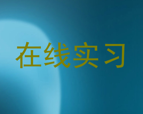 在线实习