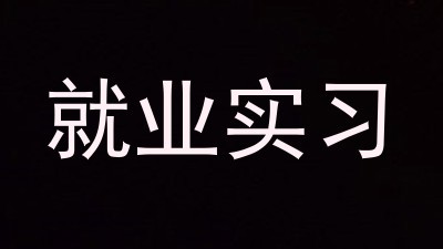 就业实习