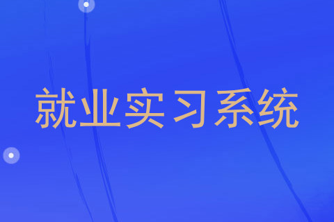 就业实习系统