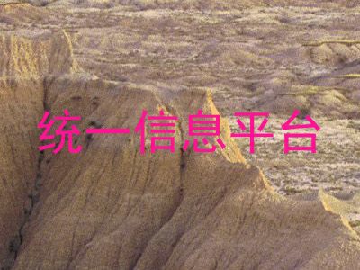 统一信息平台