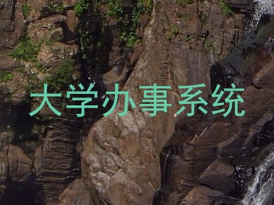 大学办事系统