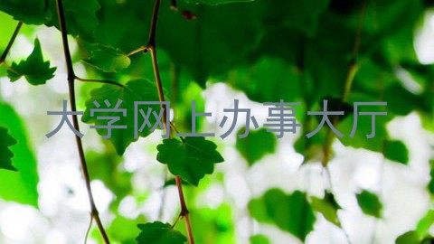 大学网上办事大厅