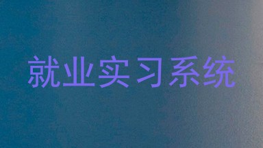 就业实习系统