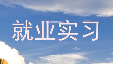 就业实习