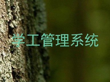 学工管理系统