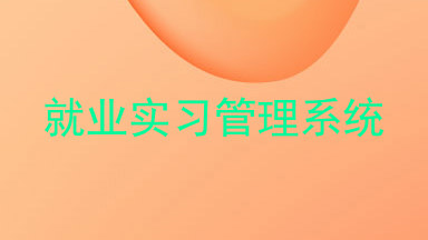 就业实习管理系统