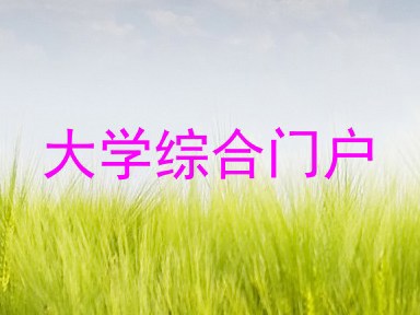 大学综合门户