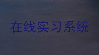 在线实习系统