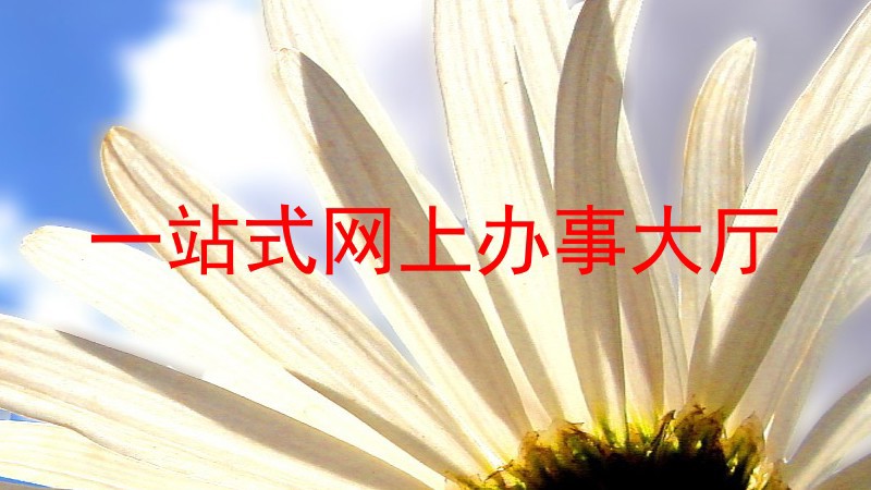 一站式网上办事大厅