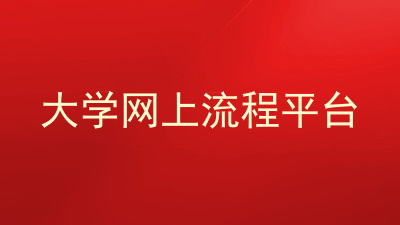 大学网上流程平台