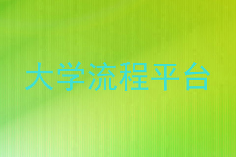 大学流程平台