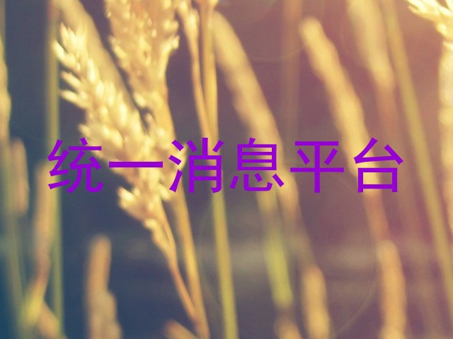 统一消息平台