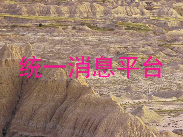 统一消息平台