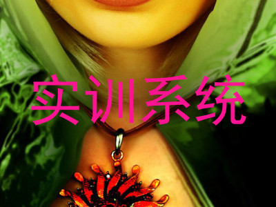 实训系统