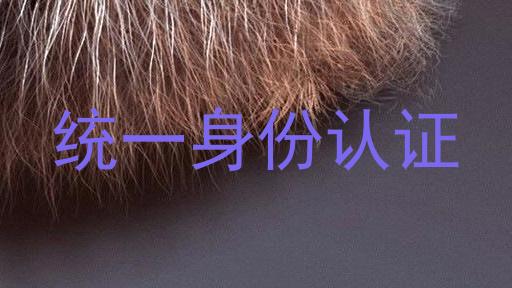 统一身份认证