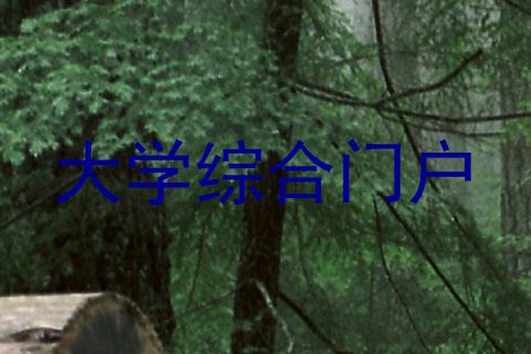 大学综合门户