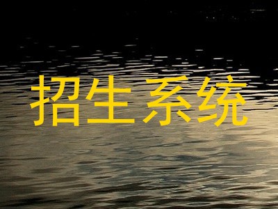 招生系统