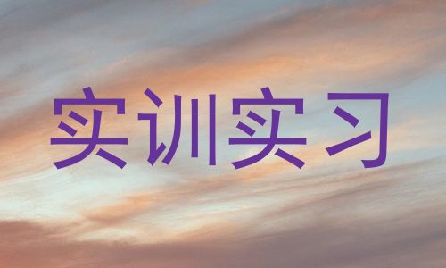 实训实习