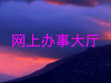 网上办事大厅
