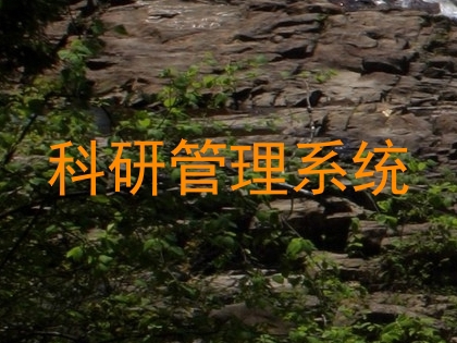 科研管理系统